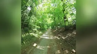 Itsamiracle - Path and Progress (audio)