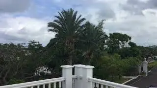 Everything Bahamian tour of Government House
