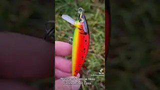 #fishing #buenapesca #baitcasting #se&ntilde;uelosartesanales #pescaargentina #videoshort #videospesca