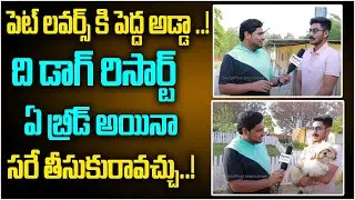 Pets కేర్ కోసం చూస్తున్నారా.? | Ambi The Dog Resort Full Tour | Pet Care Center in Hyderabad | Pappu