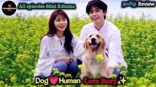 Dog💗Human-Mini Kdrama||All-episodes||Fantasy Love Story||iSarangkdrama (தமிழ்)|