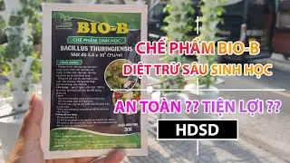 [DANH THỦY CANH] Hướng dẫn sử dụng Chế phẩm sinh học Bio-B ph&ograve;ng trừ s&acirc;u sinh học an to&agrave;n, hiệu quả!