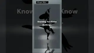 Think You Know Enough? The Illusion of Knowledge Explained