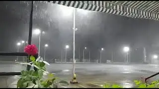 Feel good Rain with music 🌧️