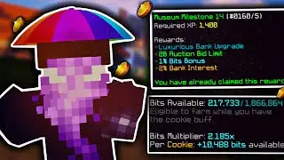 Making Hypixel Skyblock playable after the museum update...