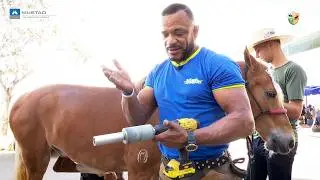 Para que serve essa ferramenta?