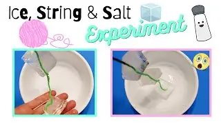 Ice, String & Salt Experiment! 🧊🧵🧂 (low-prep therapy activity idea)