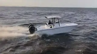 Sea Cat 262 Hybrid Catamaran