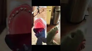 SHARK PUPPETS SCREAM OFF!!! (Ft. @HaydenWR ) #shorts #sharkpuppet