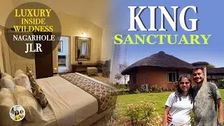 Experience Luxury inside wildness 🐅 Best stay in Nagahrole National Park | JLR King Sanctuary