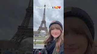 Dogs of Paris🥰❤️🇫🇷 #shortvideo #dog #paris #dogshorts #cuteanimals