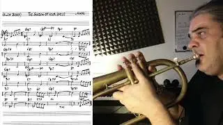 The Shadow of Your Smile - trumpet theme