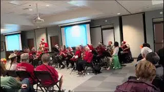 Sun City Oro Valley Ukulele 2025