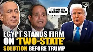 Egyptian Prez pushes for &lsquo;Two-state solution&rsquo; for Palestine before Trump, says &lsquo;It&rsquo;s the only way&rsquo;