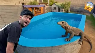 Mini Zoo Ke Swimming Pool Ke Pass Monster Lizard Aa Gaya Aaj To 😰 || Shehr Main Dihat