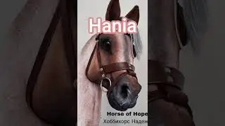 Twoje Imię Tw&oacute;j Realistyczny Hobby Horse(Część 1)#equestrian #horse #hobbyhorse #fypシ゚viral #wbijesię