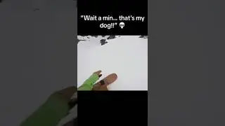 Wait a min... that's my dog!! #snow #snowboarding #viral #funny #skiing #fail