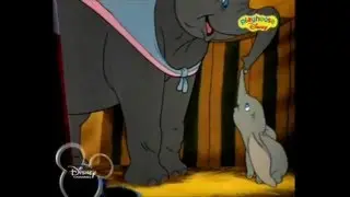 Dumbo; i belife i can fly