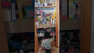 pantry organization with Tay