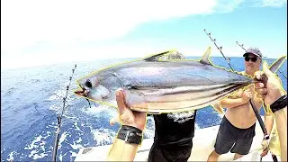 Epic SKIPJACK TUNA Bite + SHORTBILL MARLIN | Hawaii Deep Sea Fishing