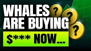 Why are Crypto whales aggressively buying this....