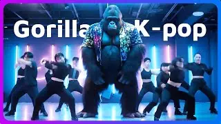 Gorilla K-pop - Neon Jungle (Official Music Video)