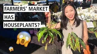 Farmers' Market Has Houseplants?!