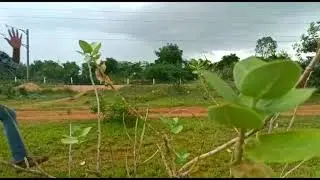 RRR spoof