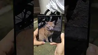 Samsung Z Fold 6 Camera Test 🔥