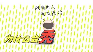 为什么总说秃头男，女性为什么秃的少呢？