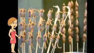 Seahorses