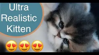 Ultra Realistic Kitten Reborn Kitten Bearpile Art Doll Lifelike Kitten Tiny Kitten OOAK Kitten