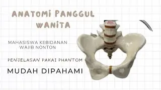 Anatomi panggul wanita