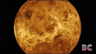Atmospheric analysis shows Venus never had Earth-like life, scientists say