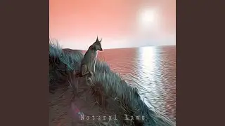 311 (Barnea Remix)