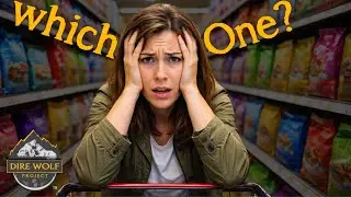 EVERY Dog Food Option Explained!