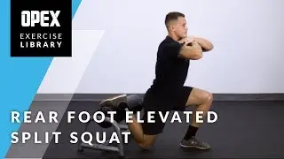 Rear Foot Elevated Split Squat - OPEX Exercise Library