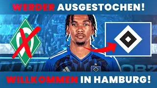 Offiziell: Damion Downs unterschreibt beim HSV &ndash; Alle Infos zum Millionen-Deal