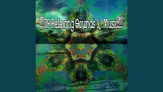 Gift Of Sound Mind