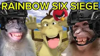 FUNNY MEMES IN RAINBOW SIX SIEGE 