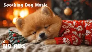12 часов музыки для успокоения собак 🐶🎅 Снятие стресса и мирный отдых 🎵 Звуки для глубокого сна ❄️