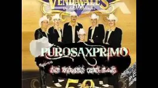 Los Vendavales- Aguita De Melon