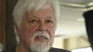 Paul Watson: &lsquo;N&atilde;o acho que nada ser&aacute; conquistado na COP30&rsquo; | AFP