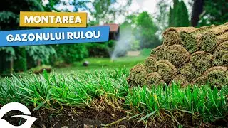Gazonul rulou | Pregătirea terenului și montarea &icirc;n grădină |🏡