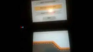Pokemon Platinum Full Friend Roster