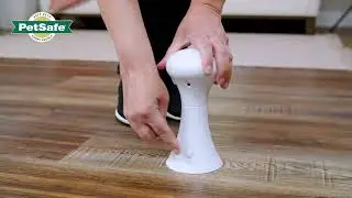 PetSafe&reg; Automatic Multi-Laser Cat Toy