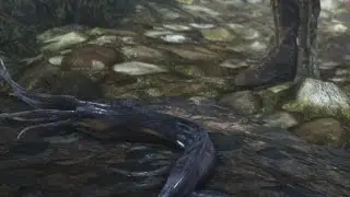 Bloodborne - The 