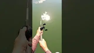 Fishing / BarraMundi - #australia #queensland