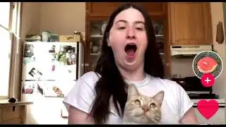 Cat slaps the pronouns out of SJW