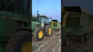 Chopping corn the Amish way!!!